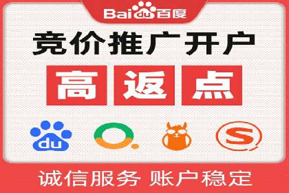 百度推广运营成功案例：行业领先企业的秘诀