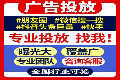 企业SEM服务实战案例解析